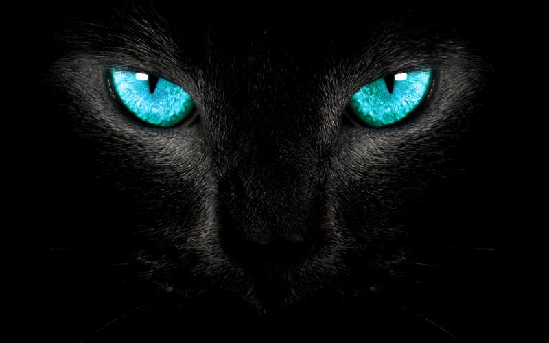fluture_val's profile banner image