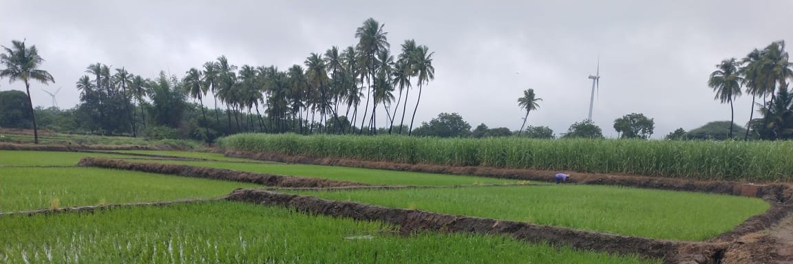 ksv_kumar's profile banner image