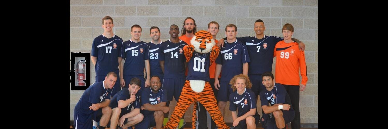 Auburn Team Handball banner