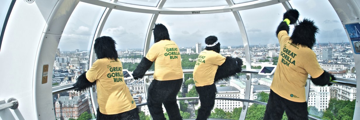GreatGorillaRun's profile banner image