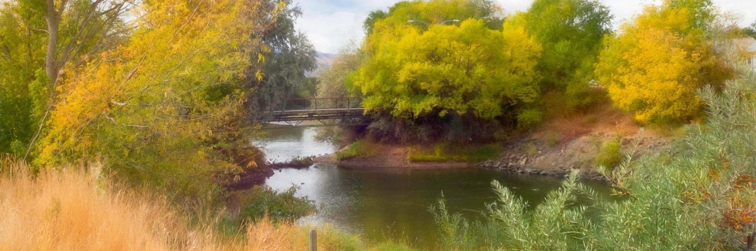 Lynne with an “e” banner