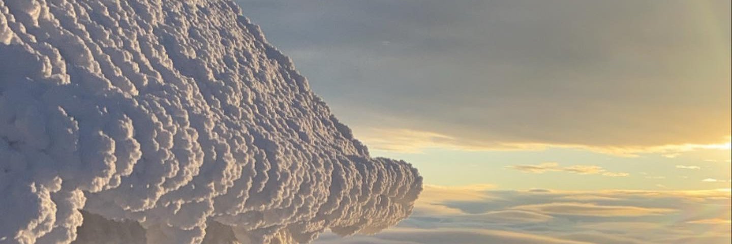 MarioC_16's profile banner image
