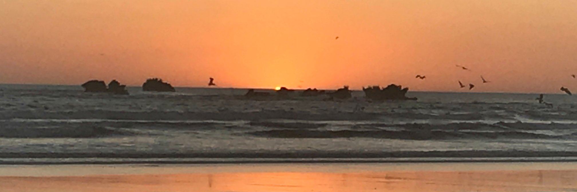 carak's profile banner image