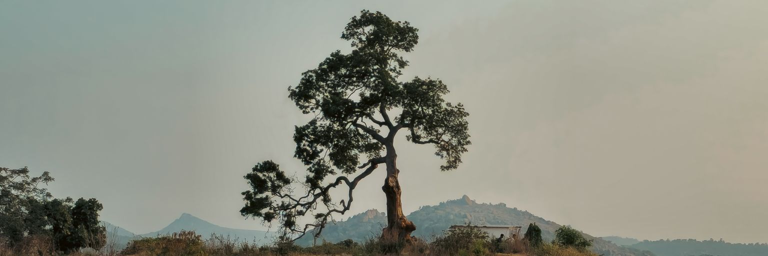 SritajPatel's profile banner image