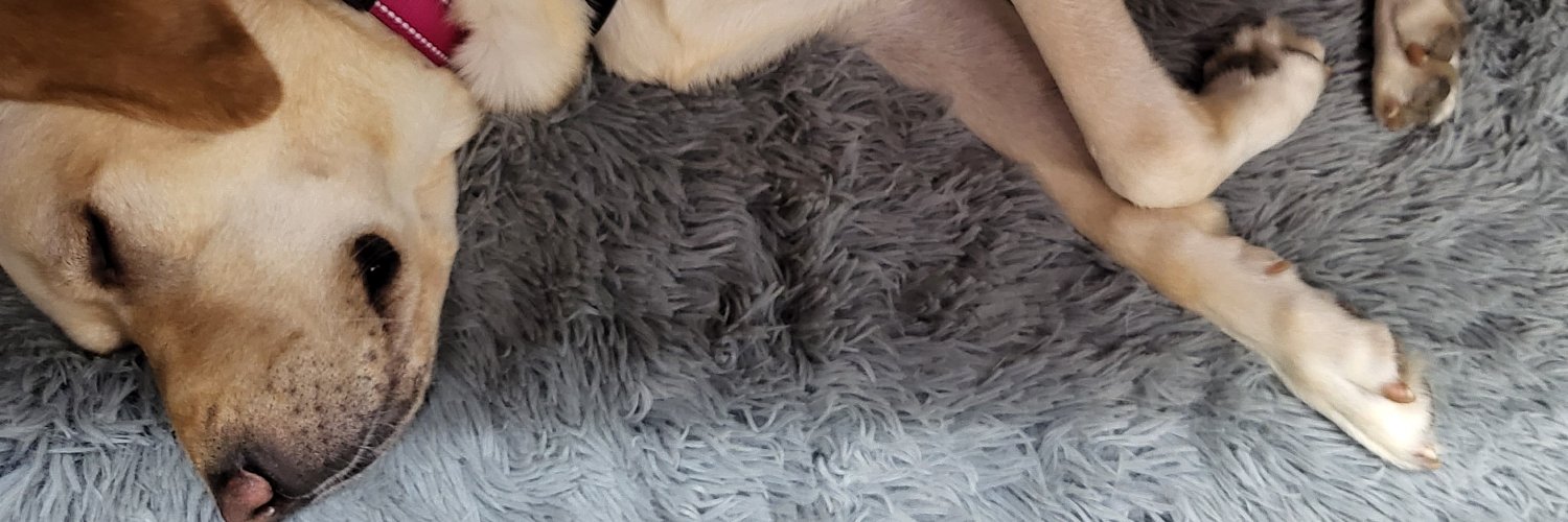 jentacular75's profile banner image