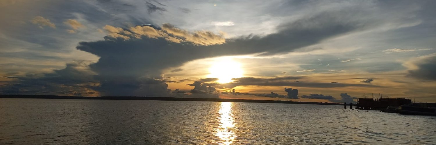 Leandro Almeida da S banner