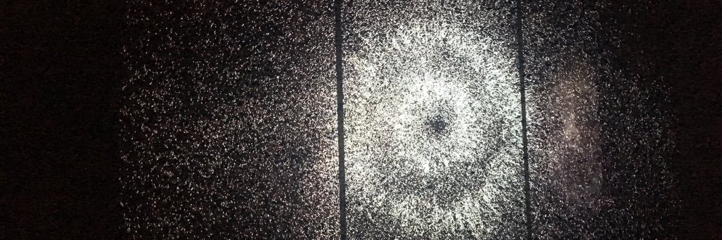 brittydakitty's profile banner image