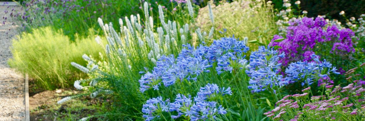 jhbotanicgarden's profile banner image