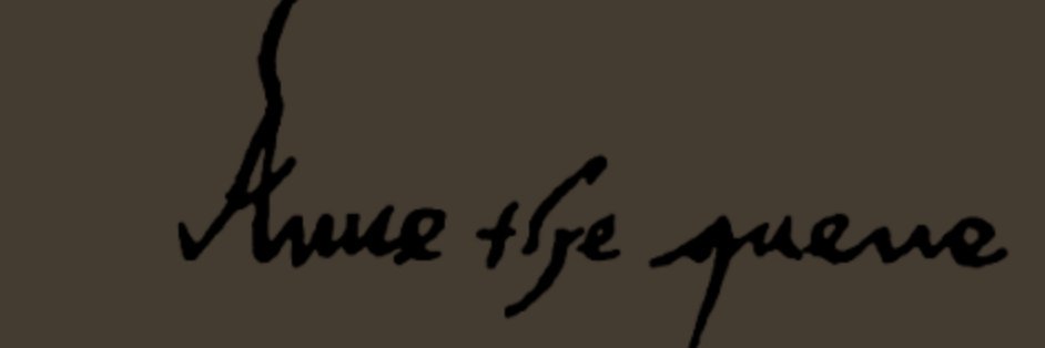 BoleynBooks's profile banner image