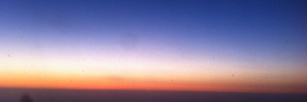 wongoolee Profile Banner