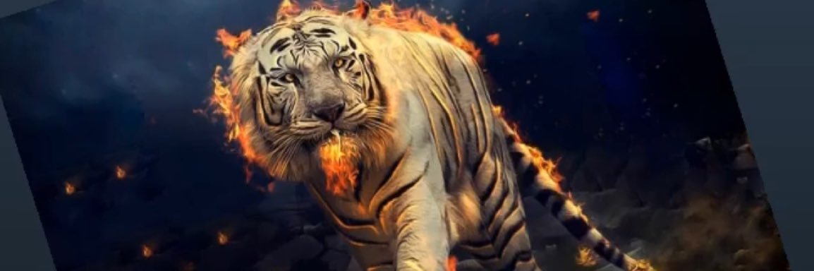 254_Viking's profile banner image