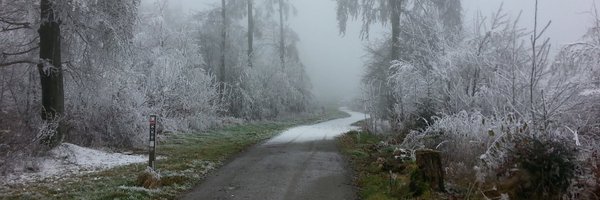 Cajkel Profile Banner