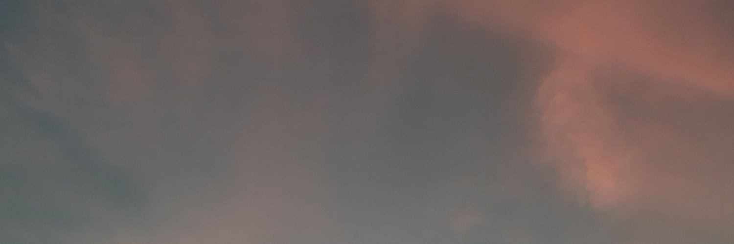 dilamarila's profile banner image