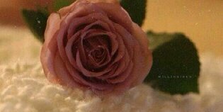 weedo1011's profile banner image