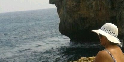 sandrarroy's profile banner image