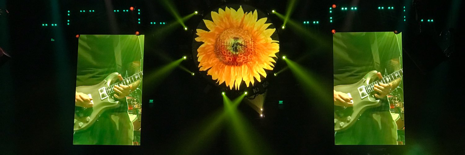 Patrick Tickle banner