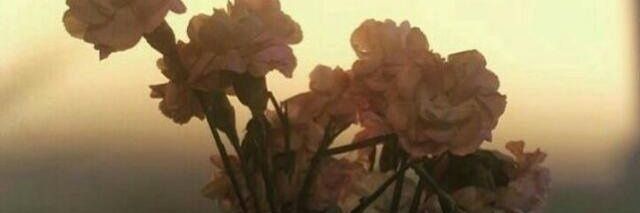heiunay's profile banner image