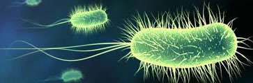 MdMicrobiology's profile banner image