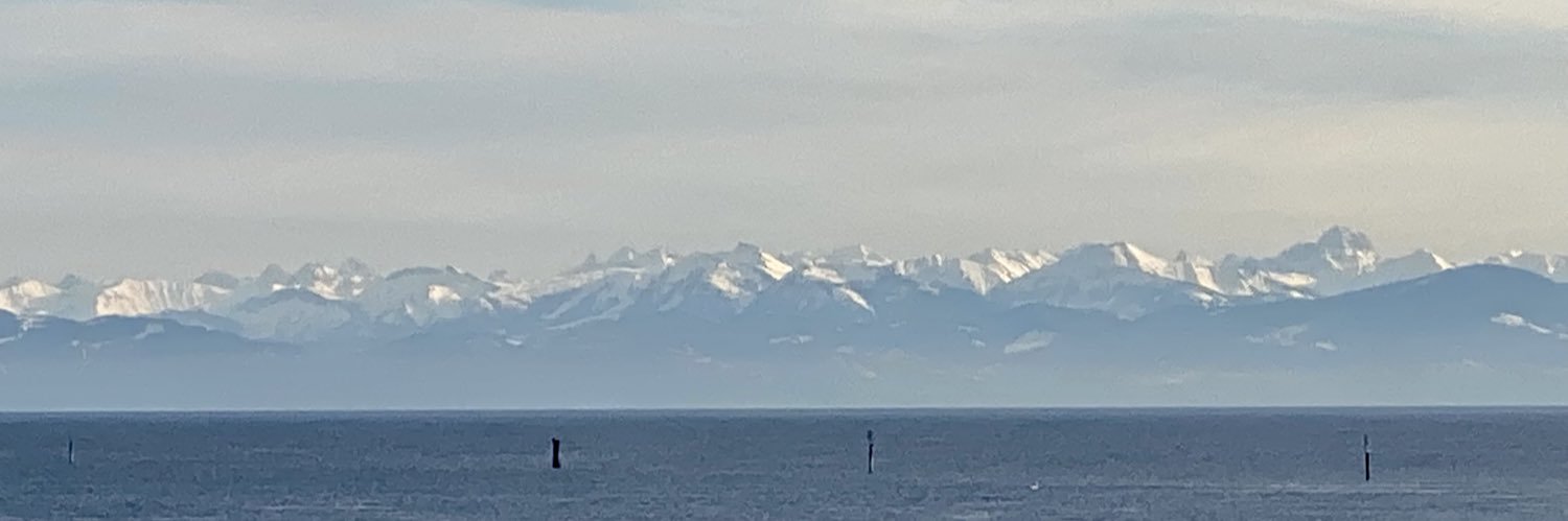 Cryptopia Labs banner