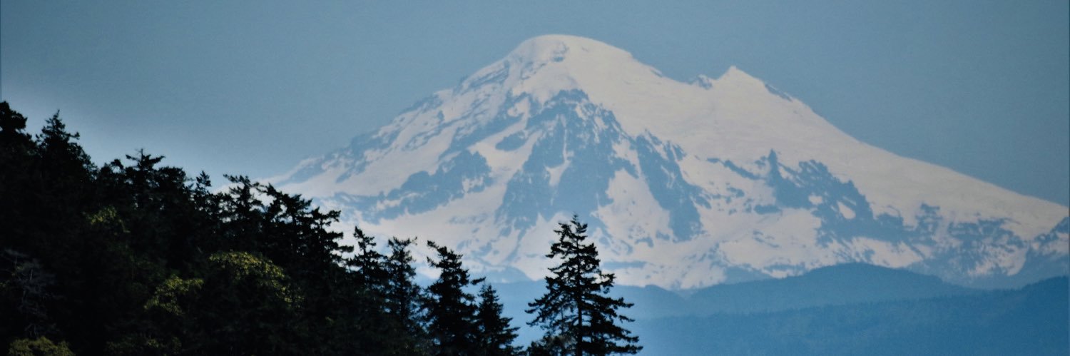 zedflash's profile banner image