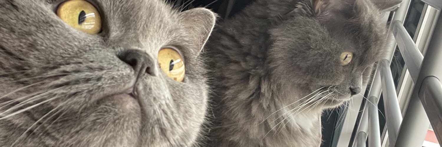 tooturntfeek's profile banner image
