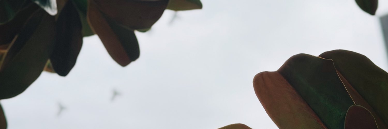 awaveawave's profile banner image