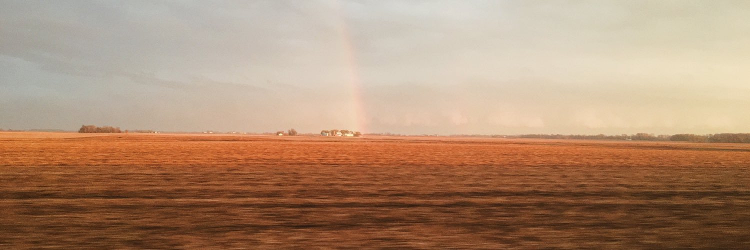 zigelko's profile banner image
