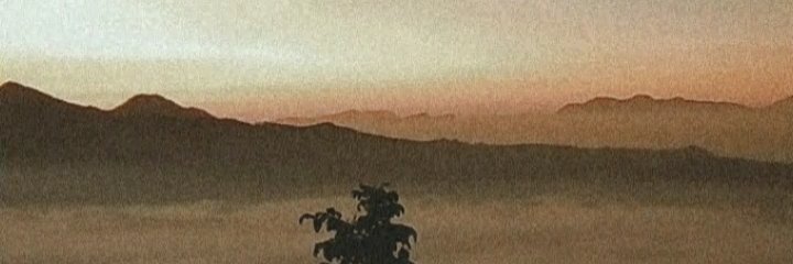 riskasatia's profile banner image