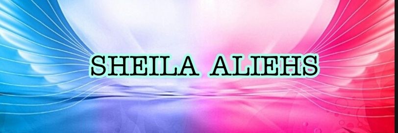 SHEI banner