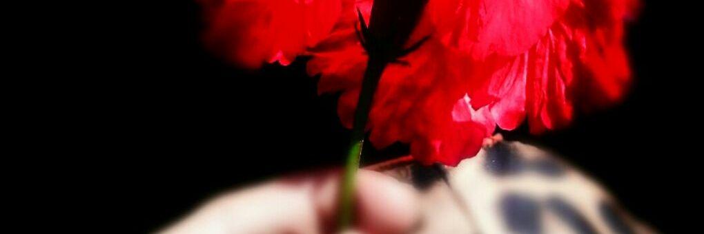 coco1234k's profile banner image