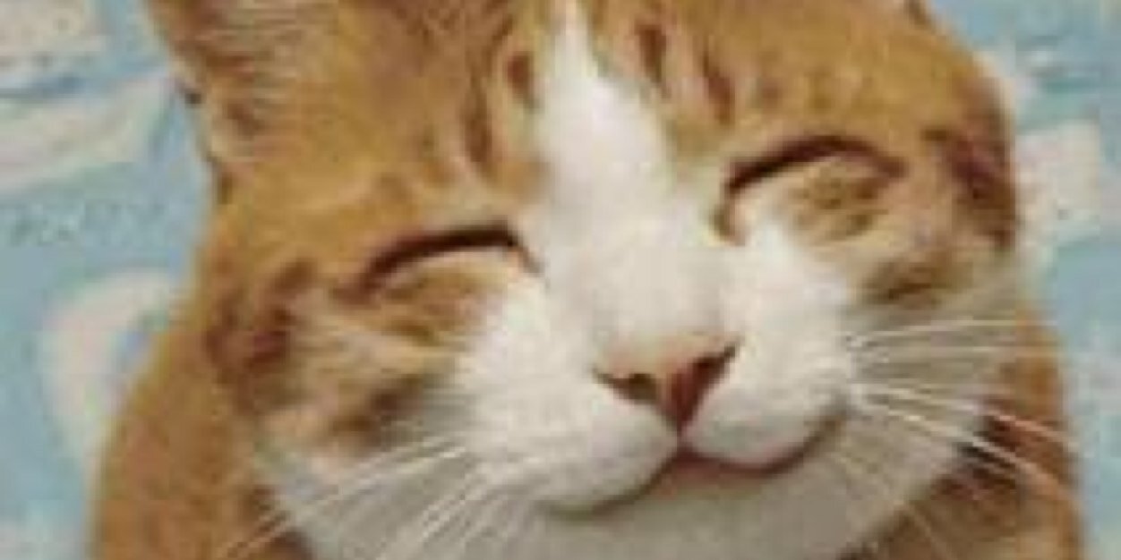 Danny1306's profile banner image