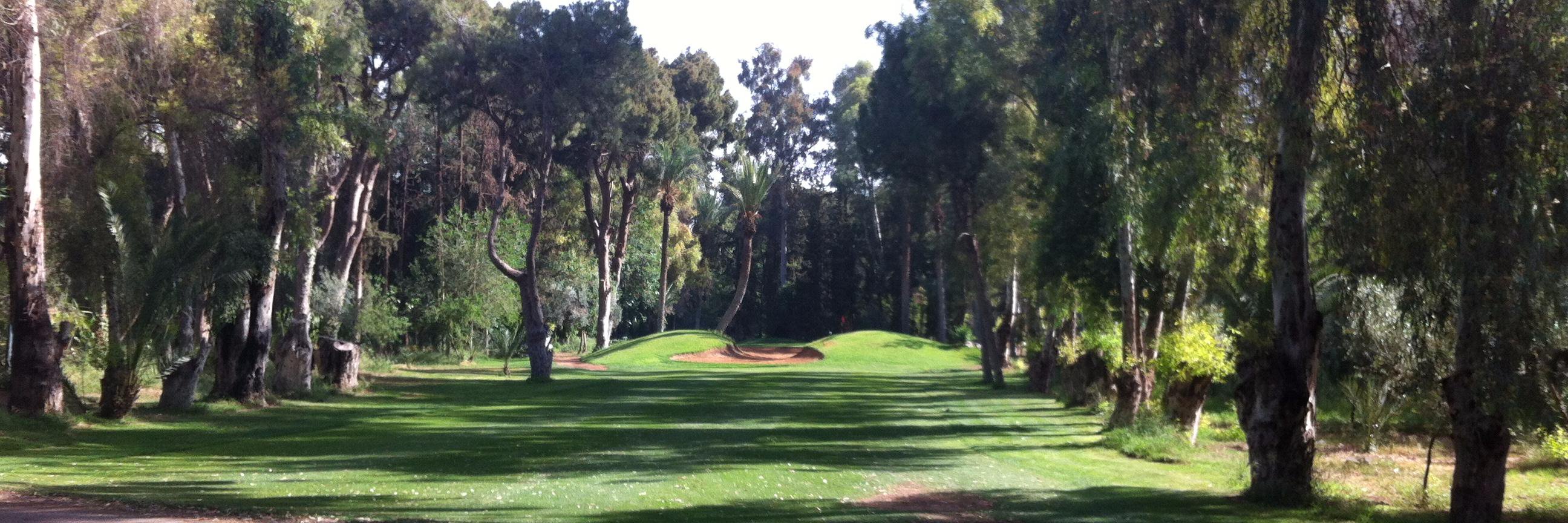 Annick CHUPIN banner