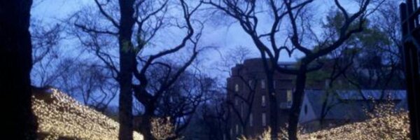 scdemark Profile Banner