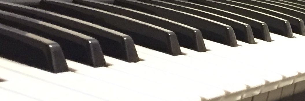Xavi Qués banner