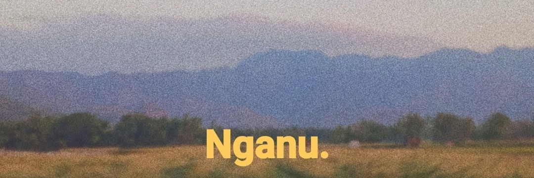 Au banner