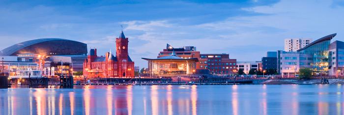 Lowri Williams banner