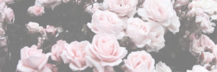Mathou_Rnd's profile banner image