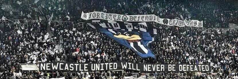 Marc Duffy's banner