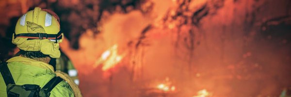 bomber_forestal Profile Banner