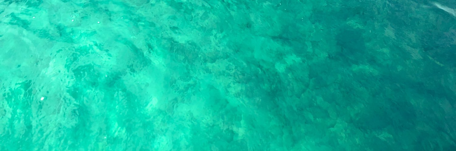 nekoz25's profile banner image