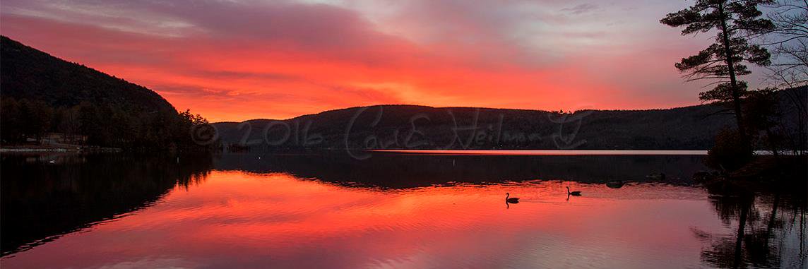 Carl Heilman II banner