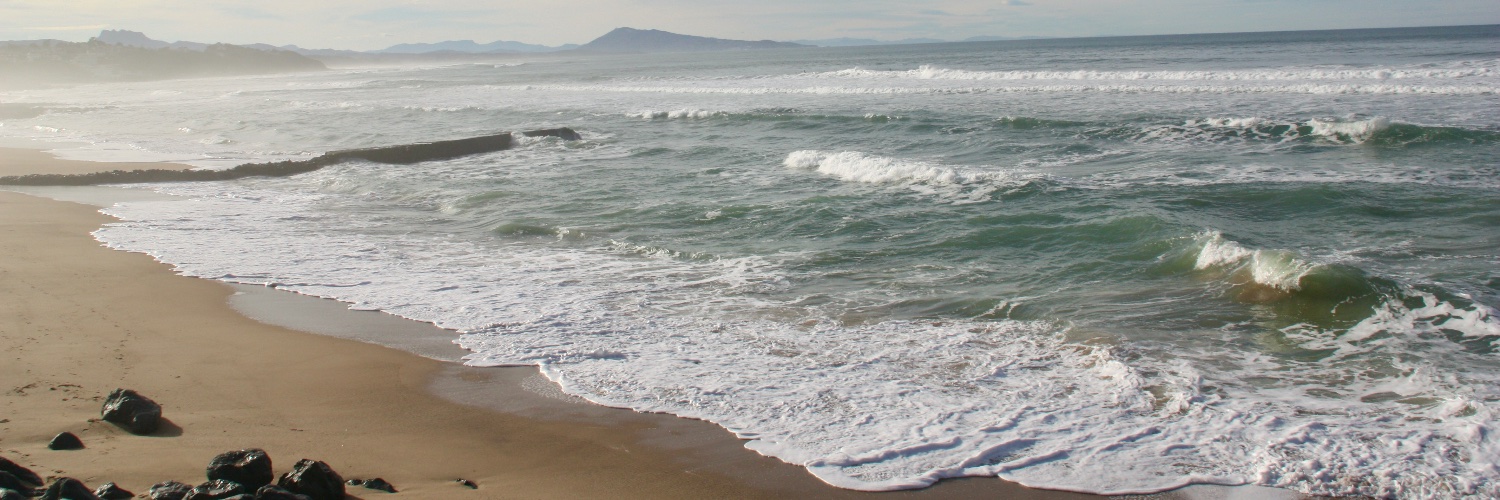 marie juliette Levin banner