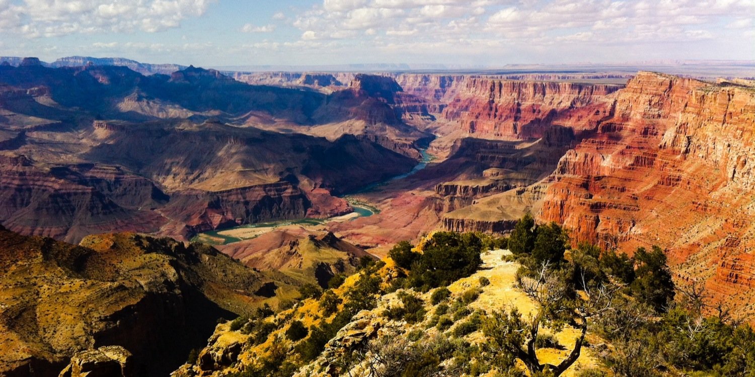 Maureen Koster banner