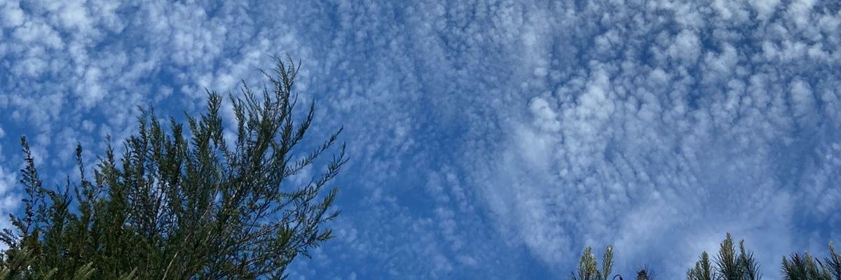 trevodebolso's profile banner image
