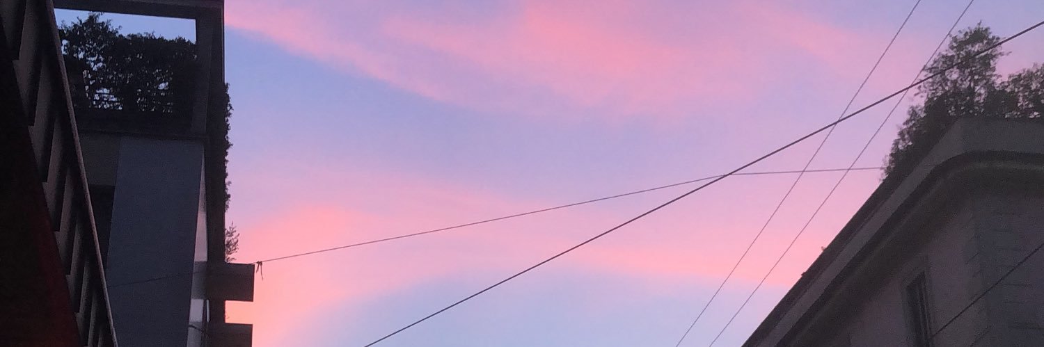 SilviaLOfficial's profile banner image