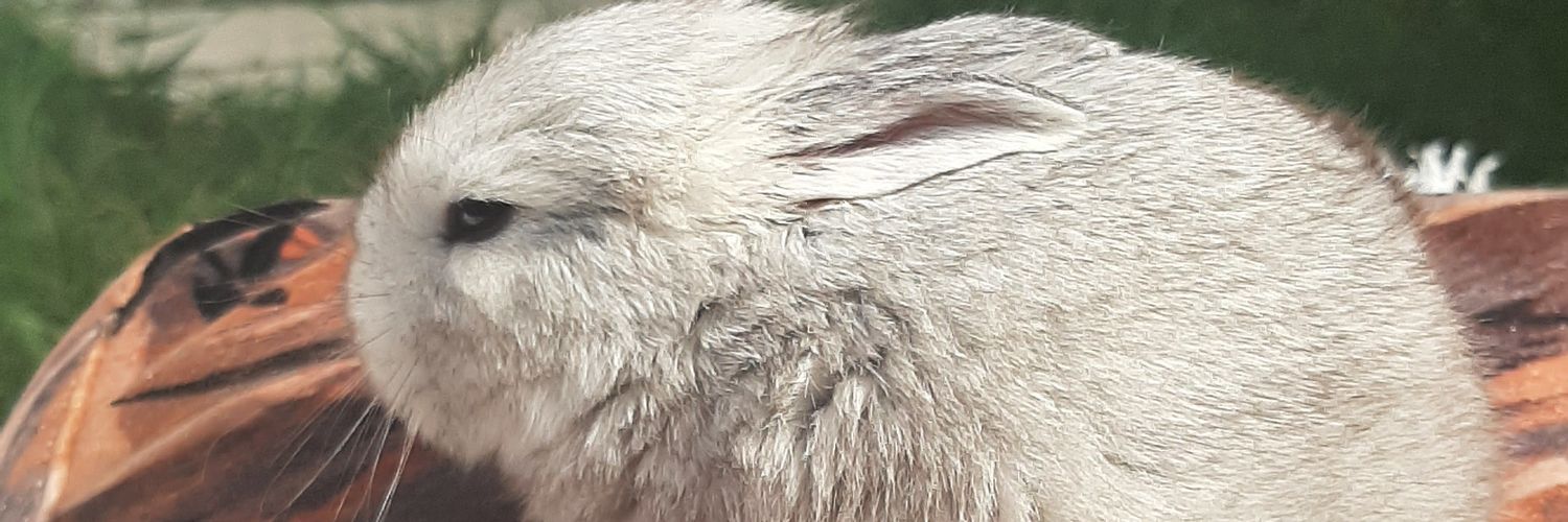 Lulegui99's profile banner image