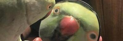 sbuschman19's profile banner image
