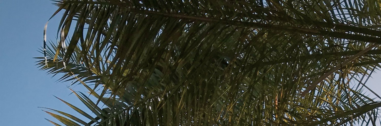 Albusaidiah's profile banner image
