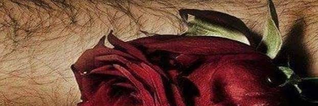 fabrywes's profile banner image
