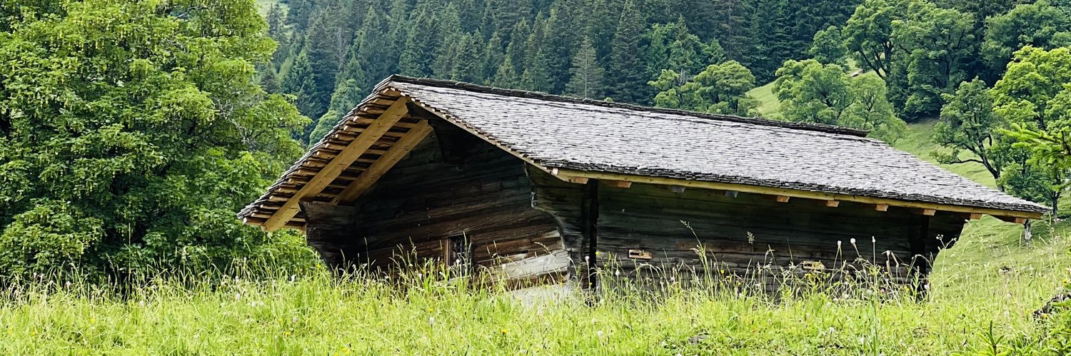 Shanchero's profile banner image